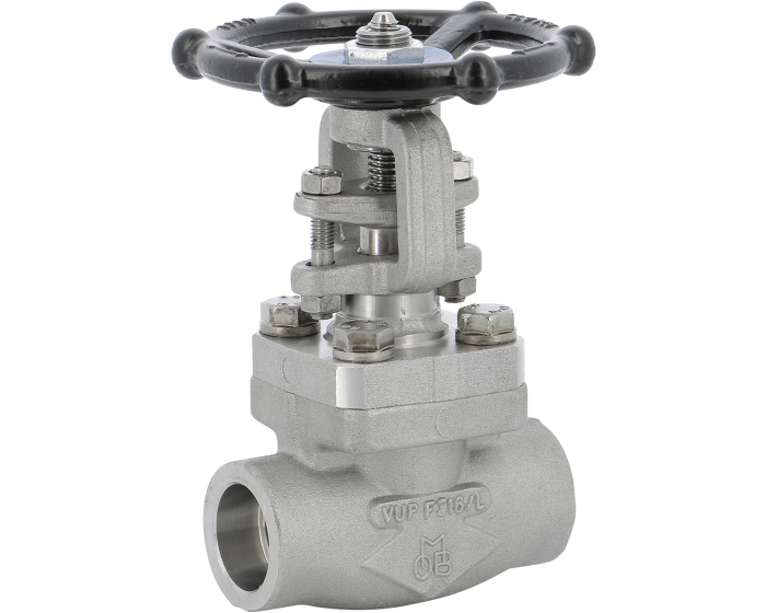 Stainless steel F316 gate valve 152 TRIM 10 800 lbs SW 1/2''